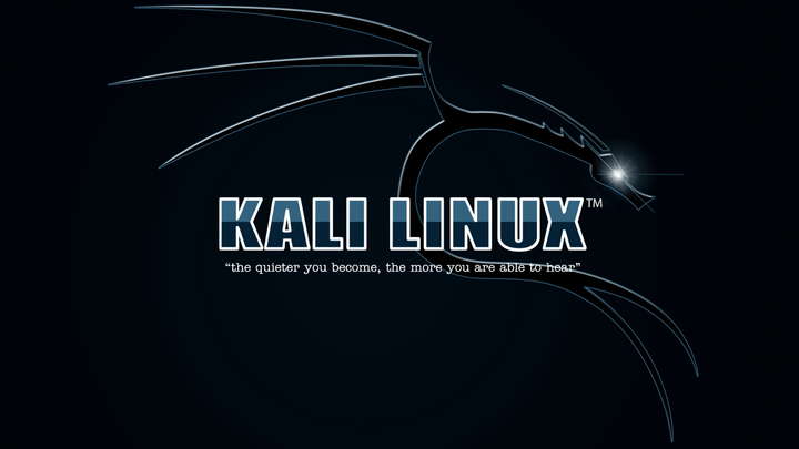 Kali Linux Bootable USB | Kali Linux USB | Bootable USBs